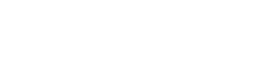 Omid Soltani Logo